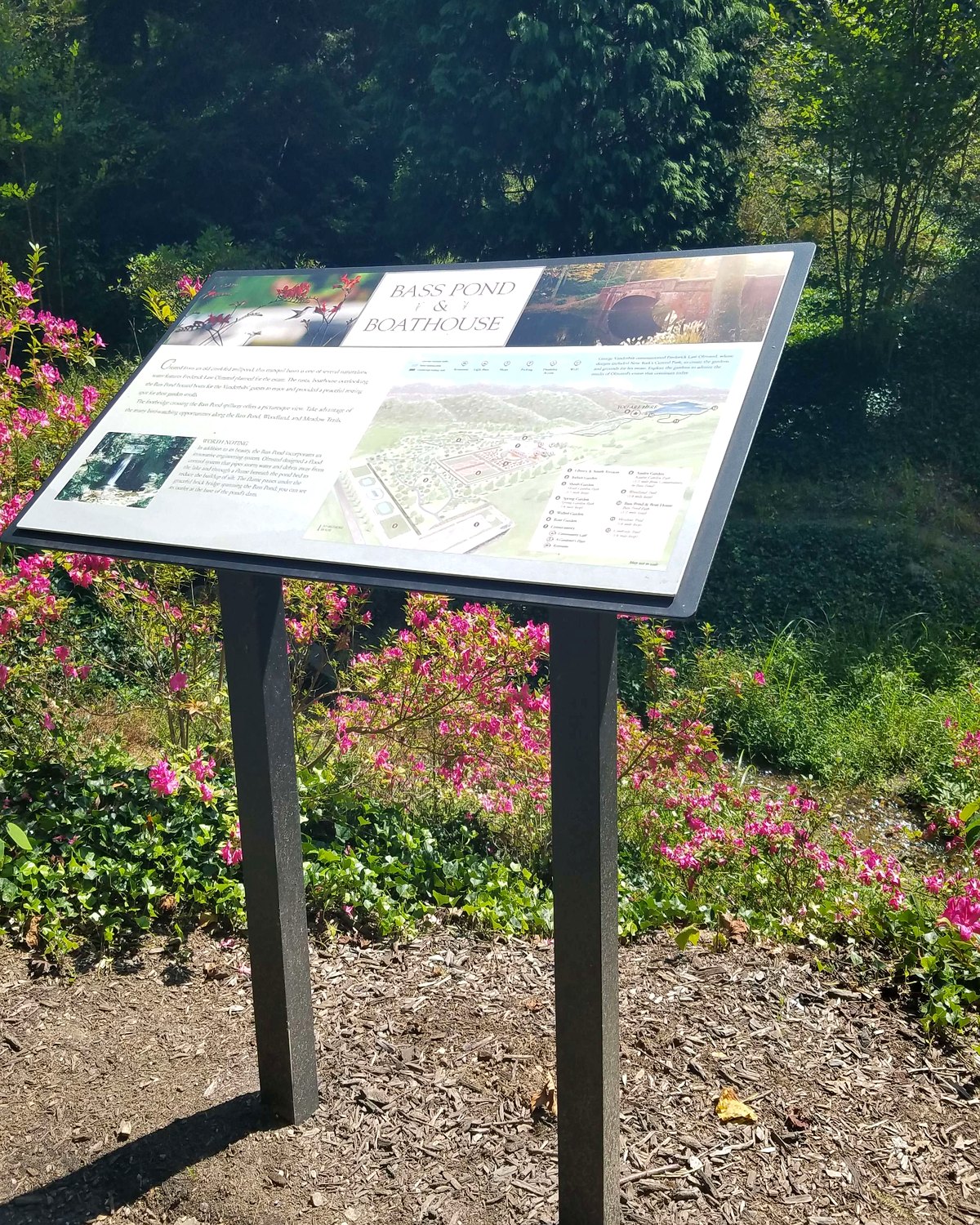A StoryWalk frame installed in a garden setting